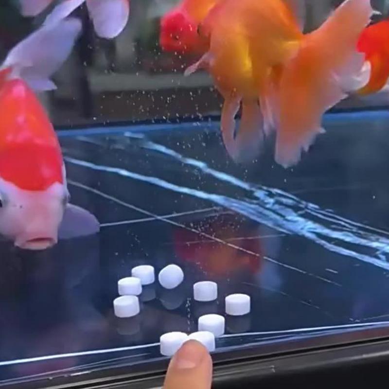 Aquarium-Wasserreinigungstable – Water Purification Tablet Bewertung und Preis