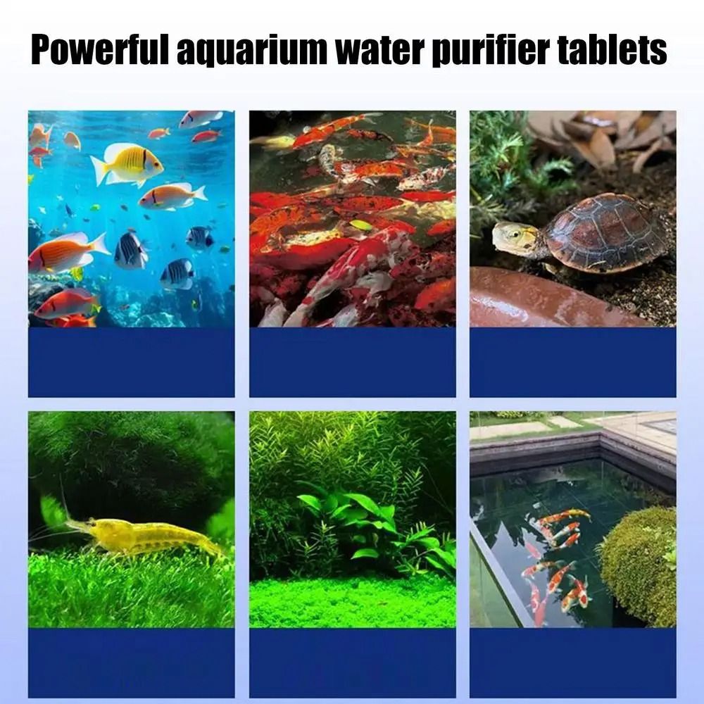 Leistungsstarke Wasserreinigun – Water Purification Tablet Bewertung und Preis